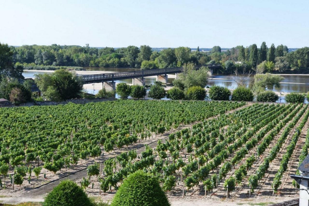 Gite Des Chaumiennes Pouilly-sur-Loire Exterior photo